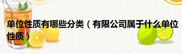 单位性质有哪些分类（有限公司属于什么单位性质）