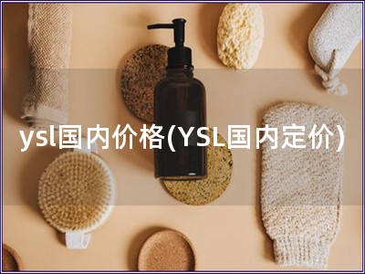 ysl国内价格(YSL国内定价)