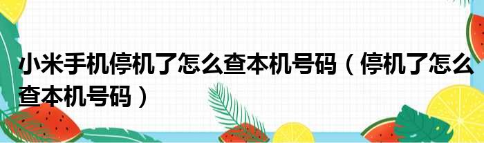 小米手机停机了怎么查本机号码（停机了怎么查本机号码）