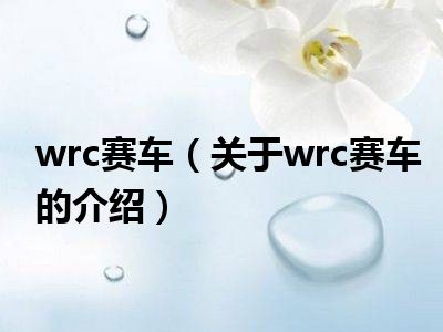 wrc赛车（关于wrc赛车的介绍）