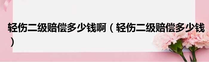 轻伤二级赔偿多少钱啊（轻伤二级赔偿多少钱）