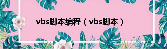 vbs脚本编程（vbs脚本）