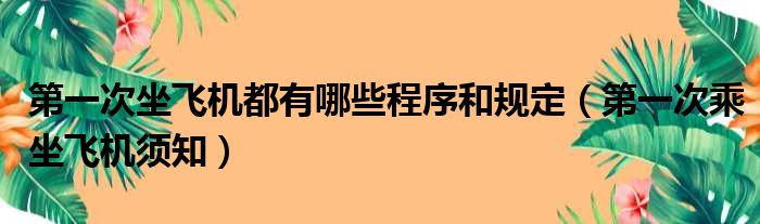 第一次坐飞机都有哪些程序和规定（第一次乘坐飞机须知）