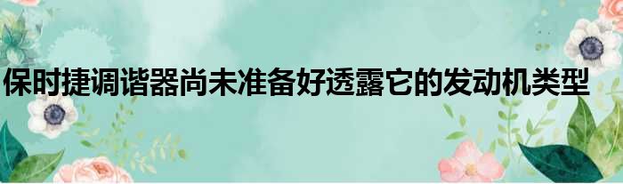 保时捷调谐器尚未准备好透露它的发动机类型