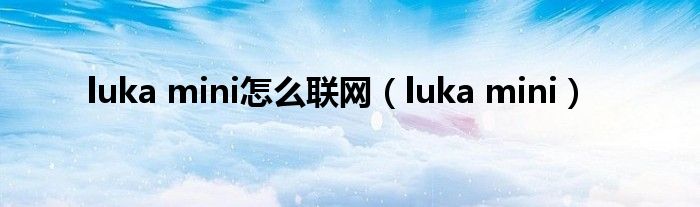  luka mini怎么联网（luka mini）