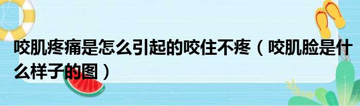 咬肌疼痛是怎么引起的咬住不疼（咬肌脸是什么样子的图）