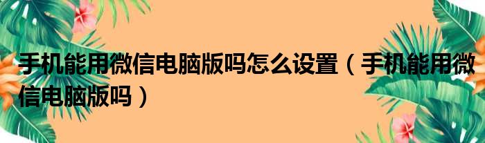 手机能用微信电脑版吗怎么设置（手机能用微信电脑版吗）