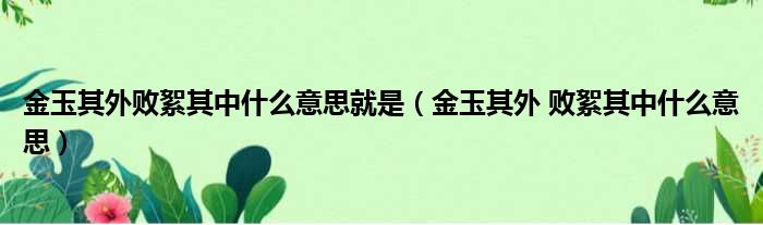 金玉其外败絮其中什么意思就是（金玉其外 败絮其中什么意思）