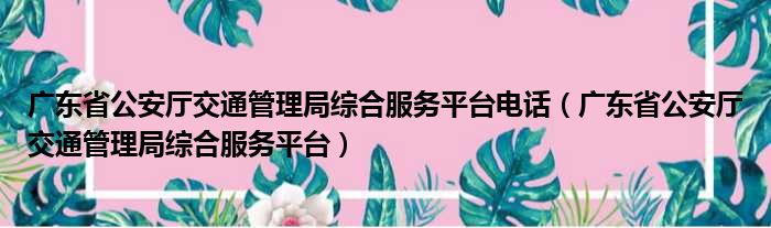 广东省公安厅交通管理局综合服务平台电话（广东省公安厅交通管理局综合服务平台）