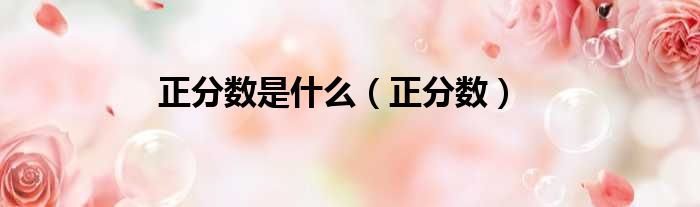 正分数是什么（正分数）