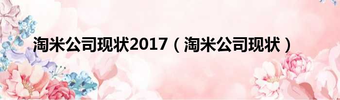 淘米公司现状2017（淘米公司现状）