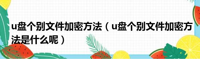 u盘个别文件加密方法（u盘个别文件加密方法是什么呢）