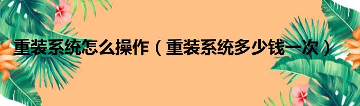 重装系统怎么操作（重装系统多少钱一次）