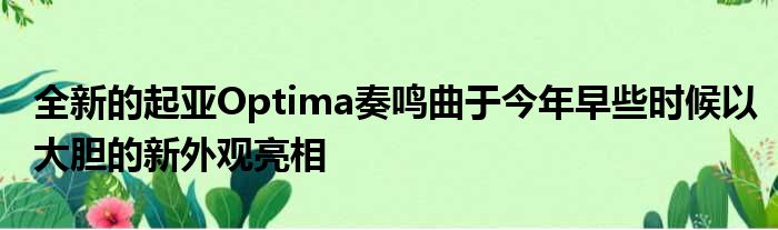 全新的起亚Optima奏鸣曲于今年早些时候以大胆的新外观亮相