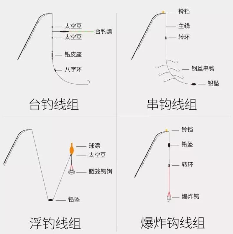 主线1.2子线0.8可以钓多大的鱼（1.2主线0.8子线能钓多大鱼）(图3)