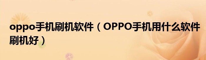 oppo手机刷机软件（OPPO手机用什么软件刷机好）