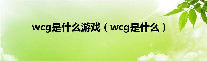  wcg是什么游戏（wcg是什么）