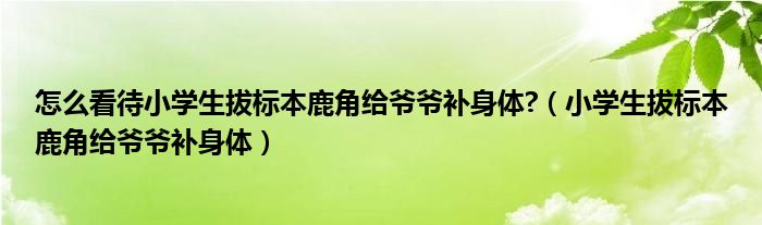  怎么看待小学生拔标本鹿角给爷爷补身体 （小学生拔标本鹿角给爷爷补身体）