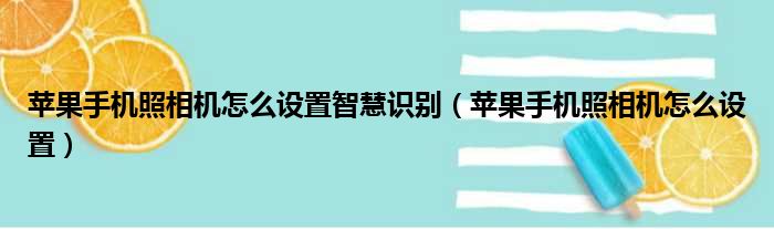 苹果手机照相机怎么设置智慧识别（苹果手机照相机怎么设置）