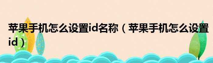 苹果手机怎么设置id名称（苹果手机怎么设置id）