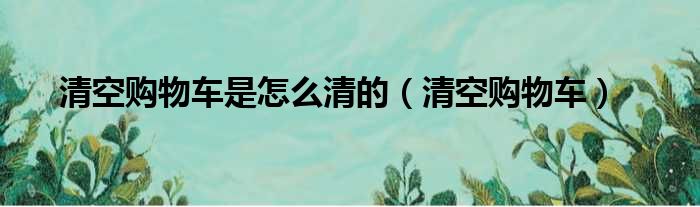 清空购物车是怎么清的（清空购物车）