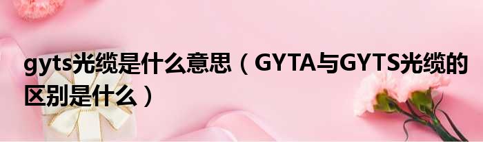 gyts光缆是什么意思（GYTA与GYTS光缆的区别是什么）