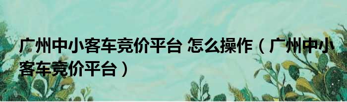 广州中小客车竞价平台 怎么操作（广州中小客车竞价平台）