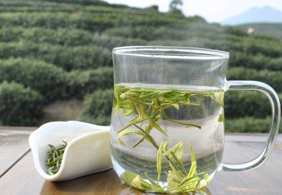 黄山毛峰茶品牌（黄山毛峰属于什么档次的茶）