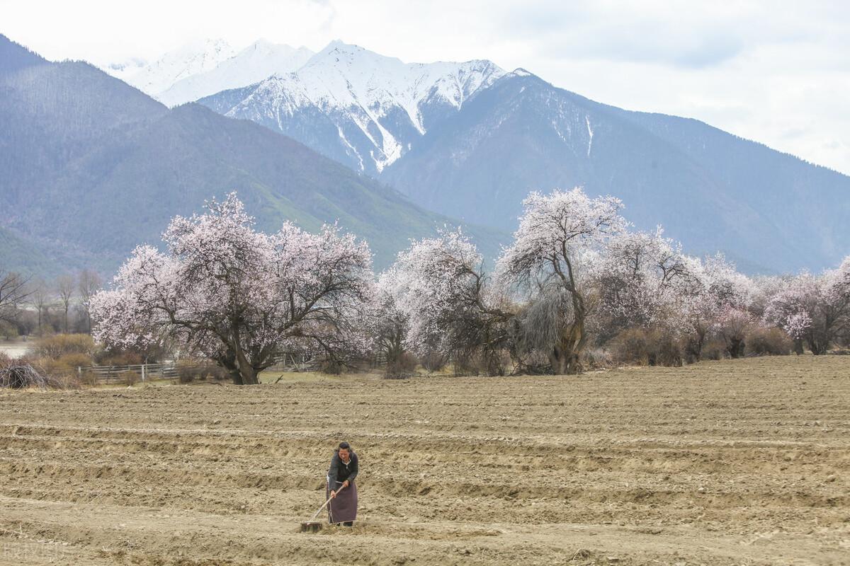 西藏旅游的最佳季节是几月份-（西藏哪个季节旅游好）(图1)