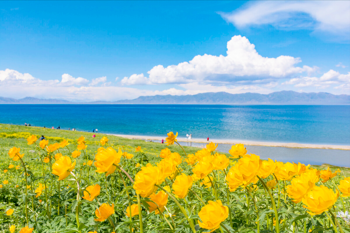 赛里木湖环湖徒步（赛里木湖旅游攻略自由行）