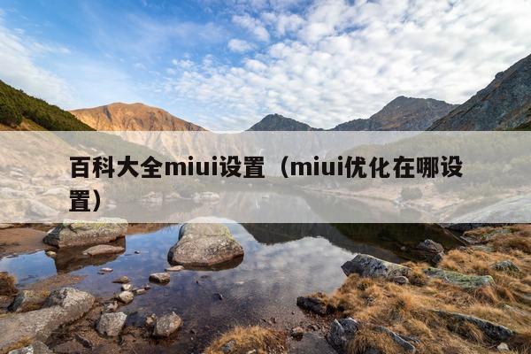 百科大全miui设置（miui优化在哪设置）