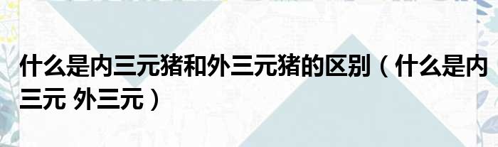 什么是内三元猪和外三元猪的区别（什么是内三元 外三元）