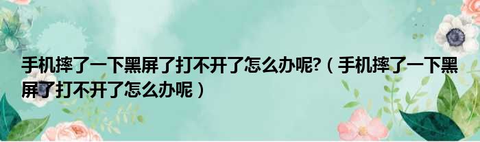 手机摔了一下黑屏了打不开了怎么办呢 （手机摔了一下黑屏了打不开了怎么办呢）