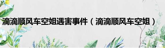 滴滴顺风车空姐遇害事件（滴滴顺风车空姐）