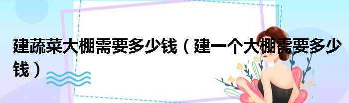 建蔬菜大棚需要多少钱（建一个大棚需要多少钱）