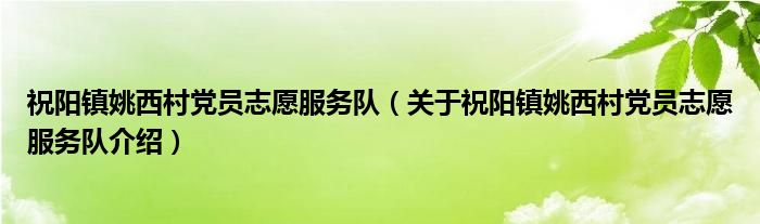  祝阳镇姚西村党员志愿服务队（关于祝阳镇姚西村党员志愿服务队介绍）