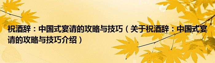  祝酒辞：中国式宴请的攻略与技巧（关于祝酒辞：中国式宴请的攻略与技巧介绍）