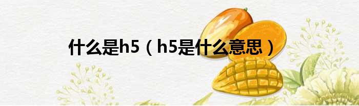 什么是h5（h5是什么意思）