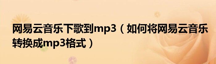 网易云音乐下歌到mp3（如何将网易云音乐转换成mp3格式）