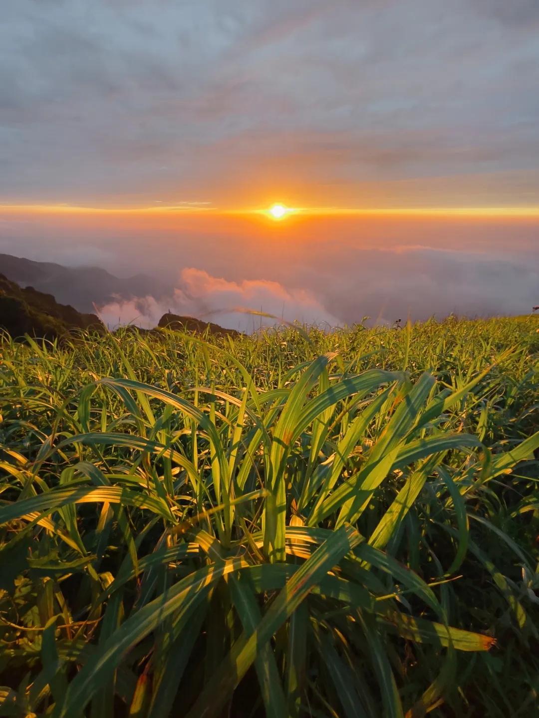 苹果手机拍夜景怎么调参数设置（苹果手机怎么拍夜景）(图20)