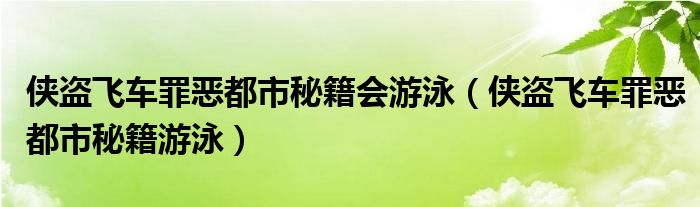  侠盗飞车罪恶都市秘籍会游泳（侠盗飞车罪恶都市秘籍游泳）