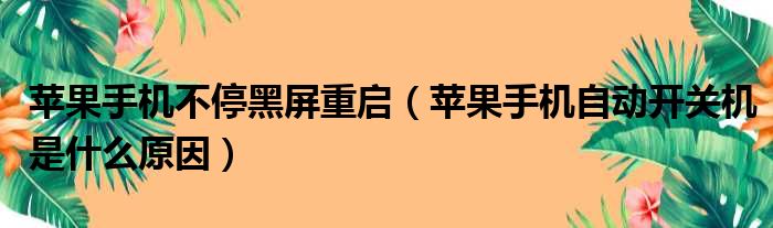 苹果手机不停黑屏重启（苹果手机自动开关机是什么原因）