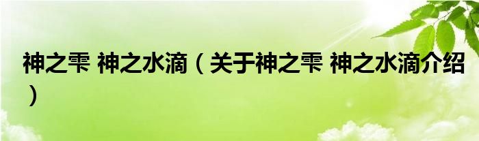  神之雫 神之水滴（关于神之雫 神之水滴介绍）