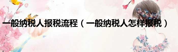 一般纳税人报税流程（一般纳税人怎样报税）