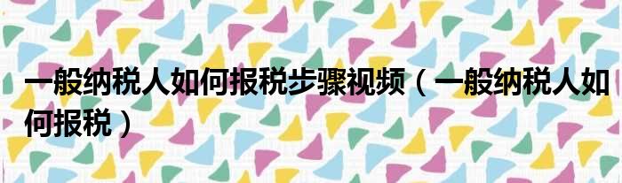 一般纳税人如何报税步骤视频（一般纳税人如何报税）