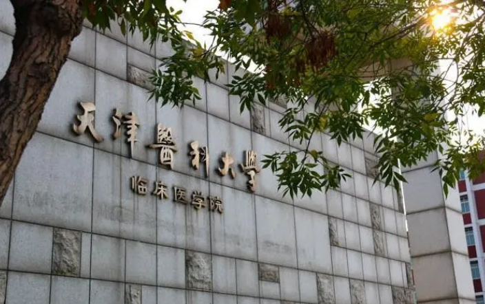 天津医科大学天津录取分数线是多少分（天津医科大学是211还是985）