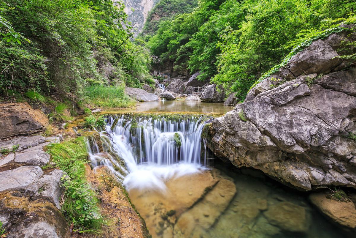 桃花的 诗句（关于桃花的浪漫诗句有哪些）(图3)