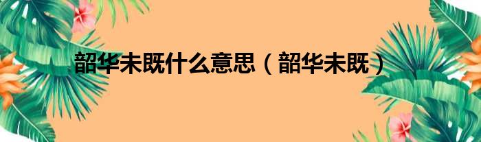 韶华未既什么意思（韶华未既）