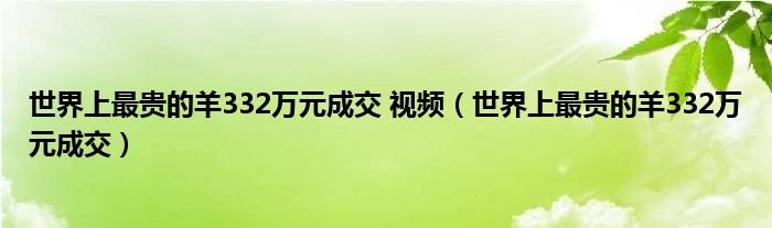  世界上最贵的羊332万元成交 视频（世界上最贵的羊332万元成交）