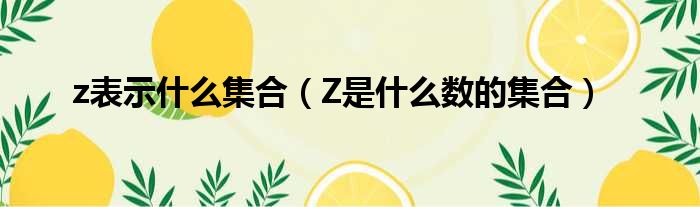 z表示什么集合（Z是什么数的集合）